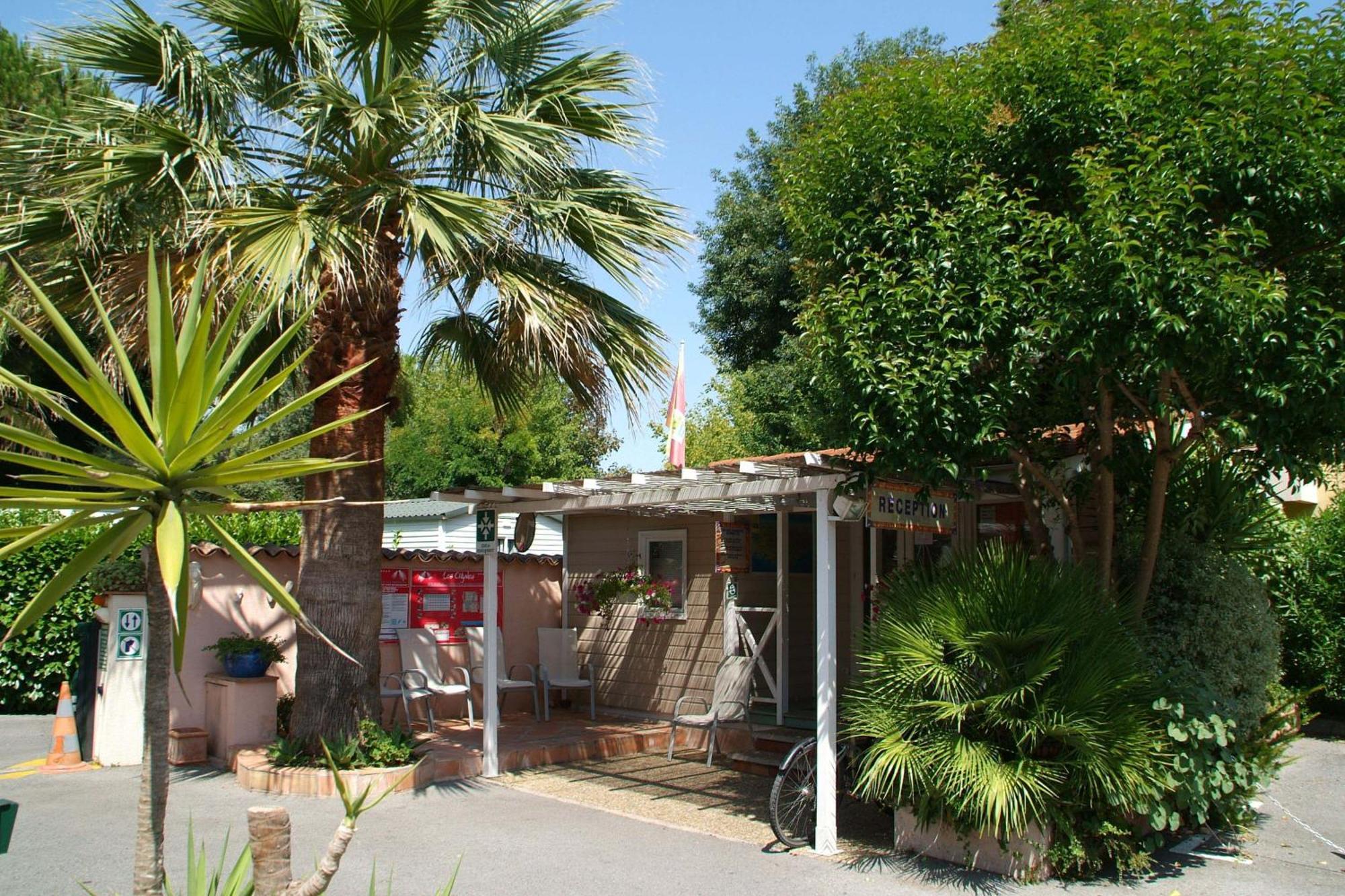 Hotel Camping Les Cigales Mandelieu Zewnętrze zdjęcie